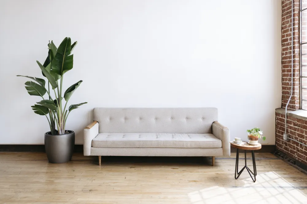 Helles Wohnzimmer mit beigem Stoffsofa und Zimmerpflanze